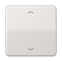 Клавиша для одинарной кнопки BCU; светло-серая, CD590PLG