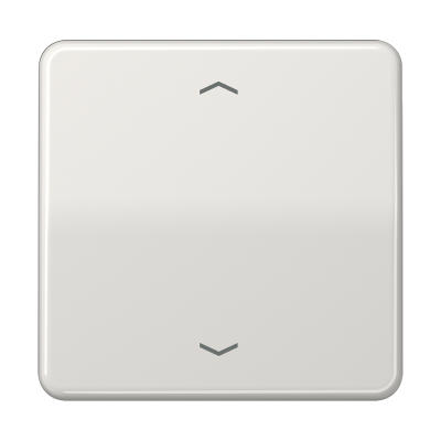 Клавиша для одинарной кнопки BCU; светло-серая, CD590PLG