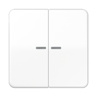 Клавиша для KNX кнопки, 2 группы с окошком; дюропласт; белый, CD102KO5WW