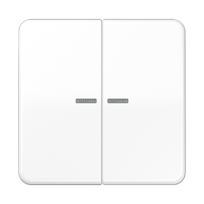 Клавиша для KNX кнопки, 2 группы с окошком; дюропласт; белый, CD102KO5WW