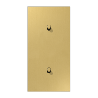 Центральная плата, 2 поста, для вертикальной установки, тумблеры 1+1,цилиндр; металлическое исполнение; латунь классик; серия LS, ME12-20CR25