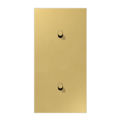 Центральная плата, 2 поста, для вертикальной установки, тумблеры 1+1,цилиндр; металлическое исполнение; латунь классик; серия LS, ME12-20CR25