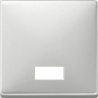 SD Клавиша 1-ная с линзой (компл. 5 линз),  стальн.