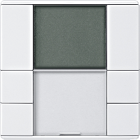 ТЕРМОРЕГУЛЯТОР С ДИСПЛЕЕМ