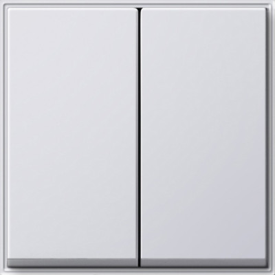 029566 Gira Клавиша двойная