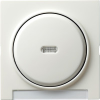 067040 Gira Одинарная клавиша с полем для надписи и подсветкой