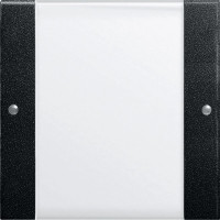 2131005 Gira Комплект клавиш, 1 шт.