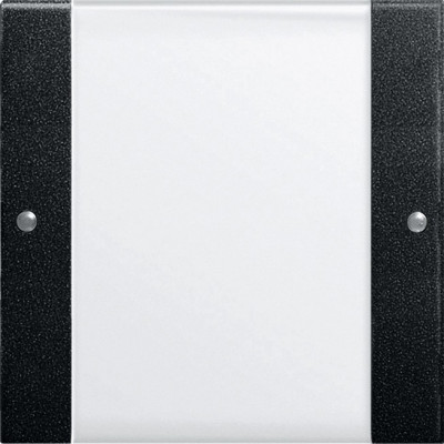 2131005 Gira Комплект клавиш, 1 шт.