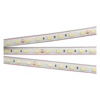Светодиодная лента герметичная RTW-PS-B60-13mm 24V Warm3000 (14.4 W/m, IP67, 5060, 5m) (Arlight, 14.4 Вт/м, IP67), 021464(2)