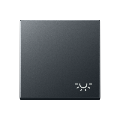 Клавиша с символом освещения   , A590BFLANM