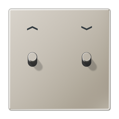 Центральная плата с символом «стрелки», 1 пост, 2 тумблера, цилиндр; металл; нержавеющая сталь; LS1912, ES12-5PR1