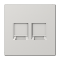 Плата (фиксация защёлкиванием) для двух модулей; термопласт; светло-серый, LS1969-2WELG Плата (фиксация защёлкиванием) для двух модулей; термопласт; светло-серый, LS1969-2WELG