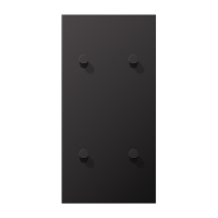 Центральная плата, 2 поста, для вертикальной установки, тумблеры 2+2,конус; металлическое исполнение; Dark; серия LS, AL12-25DK01