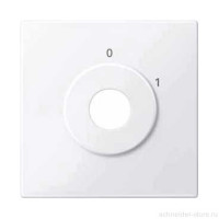 SM Накладка для мех-зма выключателя управл. ключом арт. № SCMTN318599, активно-бел. SM Накладка для мех-зма выключателя управл. ключом арт. № SCMTN318599, активно-бел.