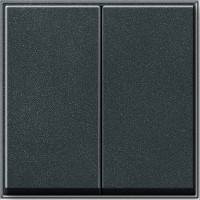 029567 Gira Клавиша двойная