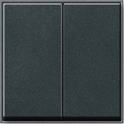 029567 Gira Клавиша двойная