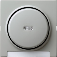 067042 Gira Одинарная клавиша с полем для надписи и подсветкой