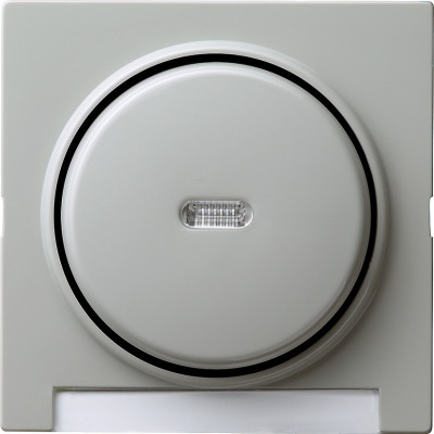 067042 Gira Одинарная клавиша с полем для надписи и подсветкой