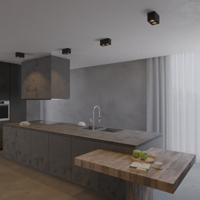 Светильник SP-CUBUS-S195x100-2х8W Day4000 (BK, 45 deg, 230V) (Arlight, IP20 Металл, 3 года), 036056