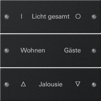 2203005 Gira Набор клавиш 3-клав.,  ГРАВИРОВКА