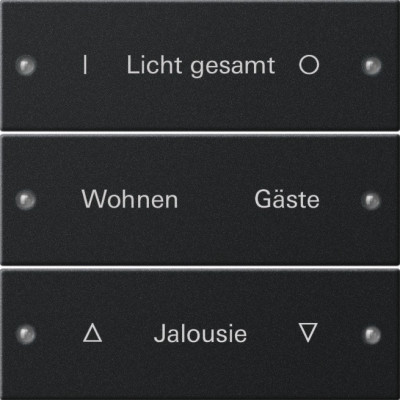 2203005 Gira Набор клавиш 3-клав.,  ГРАВИРОВКА