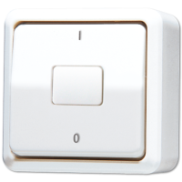 Выключатель для накладного монтажа, двухполюсный; белый, 602AWW