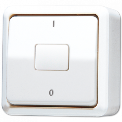 Выключатель для накладного монтажа, двухполюсный; белый, 602AWW