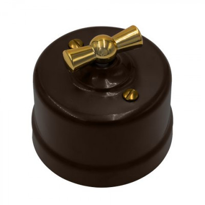 Bironi Выключатель 2-кл., пластик, цвет Коричневый, Золото, B1-202-22-G