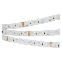 Светодиодная лента RT-B60-12mm 24V RGBW-White-4-in-1 (19.2 W/m, IP20, 5060, 5m) (Arlight, Открытый), 019096(2)