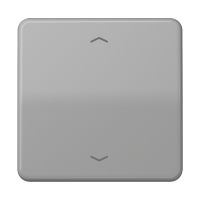 Клавиша для одинарной кнопки BCU; серая, CD590PGR