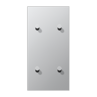 Центральная плата, 2 поста, для вертикальной установки, тумблеры 2+2,конус; металлическое исполнение; алюминий; серия LS, AL12-25K0