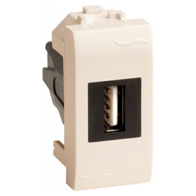 ДКС USB 2.0 розетка, Brava, сл кость, 1 мод., 75200S