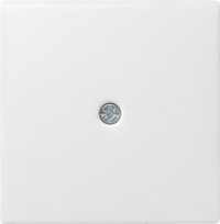 027427 Gira Накладка розетки для подключения средств связи