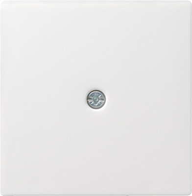 027427 Gira Накладка розетки для подключения средств связи