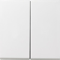 0295112 Gira Клавиша двойная