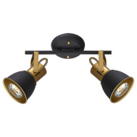 Arte Lamp JOVI, Светильник потолочный, цвет арматуры - золото, цвет плафона/декора - черный, 2x40W E14, A1677PL-2GO