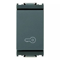 Vimar Кнопка 1P NO 10A с символом "ключ", серая, 16080.P