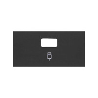 Simon 10001091-238 Накладка розетки USB цвета черный матовый S100