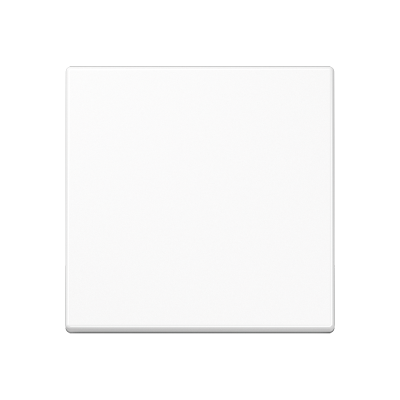 Одинарная клавиша для балансирных механизмов выключателей (кнопок), в комплекте с AS90HP (крепежный элемент), возможно IP44; дюропласт; белый; A500, A590WW