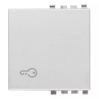 Vimar Клавиша на 2 модуля с символом "ключ" ,серебро матовое, 20022.P.N