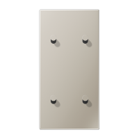 Центральная плата, 2 поста, для вертикальной установки, тумблеры 2+2,конус; металлическое исполнение; нержавеющая сталь; серия LS, ES12-25K1