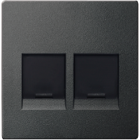 SM Накладка для 2-х разъёмов, со шторк., для арт. №SCMTN4566-00хх, антр. SM Накладка для 2-х разъёмов, со шторк., для арт. №SCMTN4566-00хх, антр.