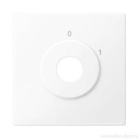 SM Накладка для мех-зма выключателя управл. ключом арт. № SCMTN318599, бел. SM Накладка для мех-зма выключателя управл. ключом арт. № SCMTN318599, бел.