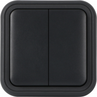 Donel W55 Рамка с клавишей для скрытой установки переключателя двухклавишного, антрацит, IP55, серия (тип)DIP55 , DIP60828 Donel W55 Рамка с клавишей для скрытой установки переключателя двухклавишного, антрацит, IP55, серия (тип)DIP55 , DIP60828