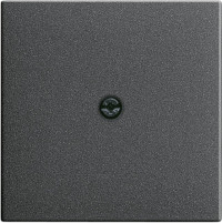 027428 Gira Накладка розетки для подключения средств связи