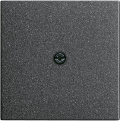 027428 Gira Накладка розетки для подключения средств связи