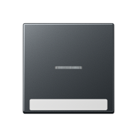 Клавиша с полем для надписи, A590BFNAKO5ANM