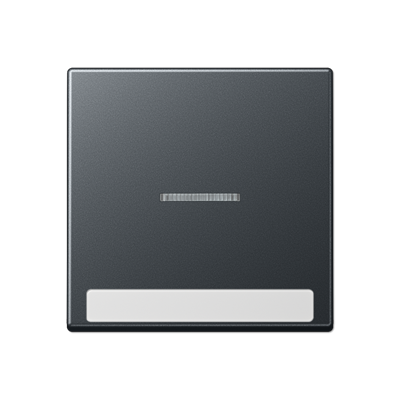 Клавиша с полем для надписи, A590BFNAKO5ANM