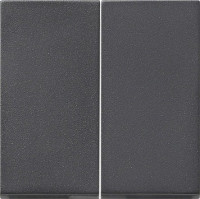 091528 Gira Накладка выключателя двойная