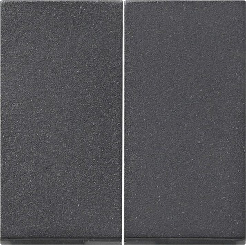 091528 Gira Накладка выключателя двойная